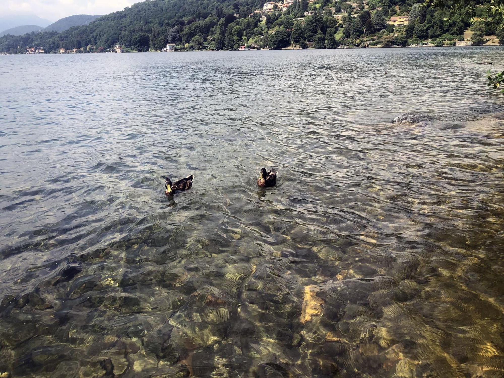 Appartamento Vacanze Al Lago Orta San Giulio Bagian luar foto