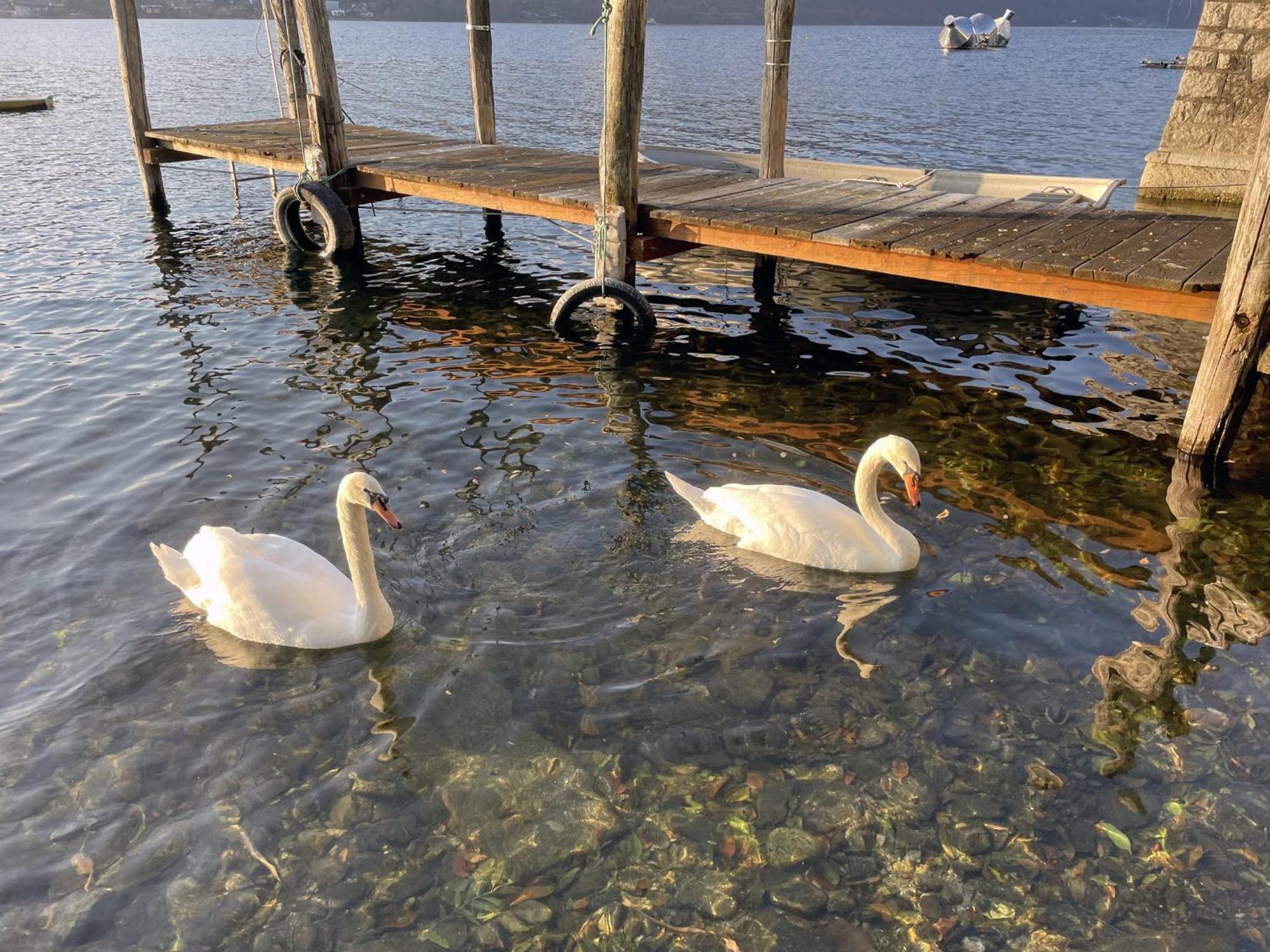 Appartamento Vacanze Al Lago Orta San Giulio Bagian luar foto